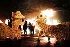 China Light Festival